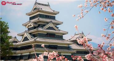 Tour Nhật Bản Mùa Hoa Anh Đào Shirakawago - Tokyo - Núi Phú Sĩ - Matsumoto - Nagoya